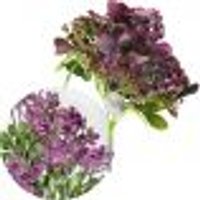 Kit 8 Plantas kalanchoe Artificial Flores Jardim Buquê 30cm