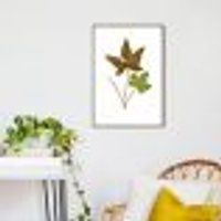 Quadro Botânica Hemionitis Palmata 86x60 Filete Marrom