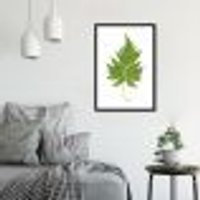 Quadro Botânica Aspidium Cicutarium 100x70 Caixa Preto