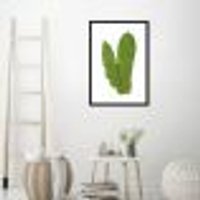 Quadro Botânica Polypodium Musaefolium 43x30 Caixa Preto