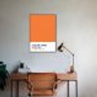Quadro Color Card Celosia Orange 43x30 Filete Marrom