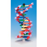 Molymod DNA-060-22 - MiniDNA Advanced 22 Layer Molecular Model Kit...