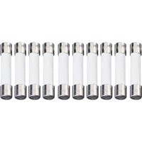 ESKA 632.617 Quick Blow Micro Fuse 6.3 x 32mm 1A 250V, Pack of 10