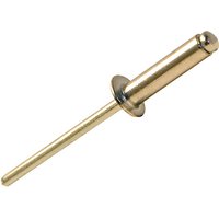 Forgefix - Aluminium Rivets 4.0 x 16mm Bag of 100 FORRIV4016M