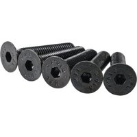 Rapid Online Limited Time Online Deal 25% Off RTECH M8 X 40 Hex Socket Screws