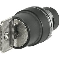 EAO 46-290H.1000.7PD Key switch 2-position K95 key Cam A key remov...