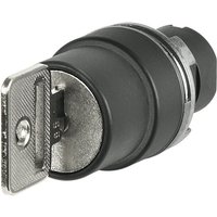 EAO 46-290K.1000.7P8 Key switch 2-position K95 key Cam B key remov...