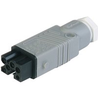 Hirschmann, Rated At 10A, 250V, 400 V IP54 White, Cable Mount Industrial Power Connector, ST