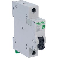 Schneider Electric EZ9F16106 EASY9 6A 1 Pole Type B Miniature Circ...