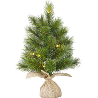 toom Künstlicher Weihnachtsbaum 'Jasper' mit 20 LEDs grün frosted Ø 40 x 60 cm