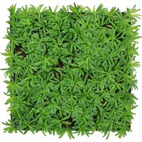 Jangal Wandpaneel 'Flora' Steineibe 52 x 52 cm