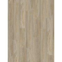 Parador Vinylboden 'Basic 30' Pinie Winter Hell 9,4 mm