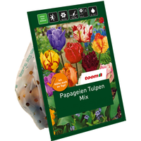 toom Papageien-Tulpen 'Mix' 20 Zwiebeln