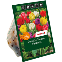 toom Gefüllte Tulpen 'Mix' 20 Zwiebeln