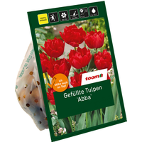 toom Gefüllte Tulpen 'Abba' rot 5 Zwiebeln