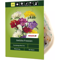 toom Freesien gefüllt 50 Stück