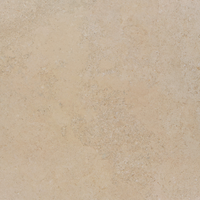 Bodenfliese 'Lims' beige 60 x 60 cm