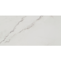 Bodenfliese 'Fontana' Feinsteinzeug weiß glänzend 30 x 60 cm