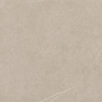 Bodenfliese 'Hardy' Feinsteinzeug beige-braun 60 x 60 cm
