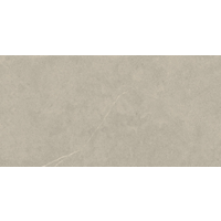 Bodenfliese 'Hardy' Feinsteinzeug beige-braun 60 x 120 cm
