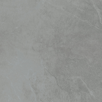 Terrassenplatte 'Mustang 2.0' Feinsteinzeug grau 60 x 60 x 2 cm