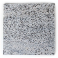 Terrassenplatte Granit granitfarben 40 x 40 x 3 cm