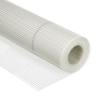 B1 Armierungsgewebe 10 m 160 g/m²