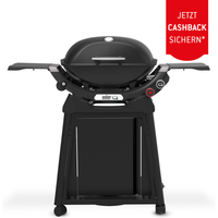 Weber Gasgrill mit Rollwagen 'Q2800N+' schwarz