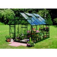 Halls Gewächshaus 'Magnum 108' 257 x 322 cm mit 3 mm Sicherheitsglas grün
