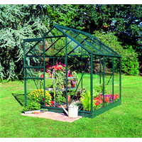 Halls Gewächshaus 'Popular 66' 193 x 195 cm mit 3 mm Sicherheitsglas grün