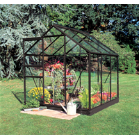 Halls Gewächshaus 'Popular 66' 193 x 195 cm mit 3 mm Blankglas schwarz