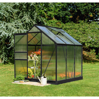 Halls Gewächshaus 'Popular 66' 193 x 195 cm mit 4 mm Doppelstegplatten schwarz