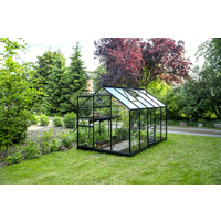 Halls Gewächshaus 'Popular 106' 193 x 319 cm schwarz mit 3 mm Sicherheitsglas