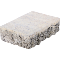 EHL Pflasterstein 'AquaDraen' muschelcremefarben 30 x 15 x 6 cm