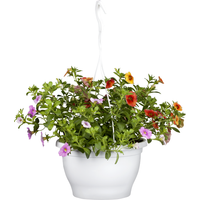 toom Petunie Trio 27 cm Wasserspeicher-Ampeltopf