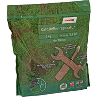 toom Kahlstellenreparatursaat 2 kg