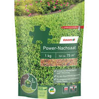 toom Rasennachsaat 'Power' 1 kg für ca. 75 m²
