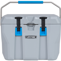Lifetime Kühlbox 'Premium' Kunststoff grau 26 l 33 x 55 x 41 cm