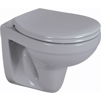 sanicomfort Wand-WC spülrandlos 'Manhattan' grau, ohne WC-Sitz