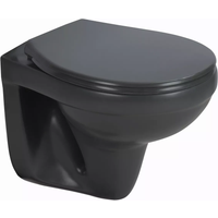 sanicomfort Wand-WC spülrandlos matt anthrazit, ohne WC-Sitz