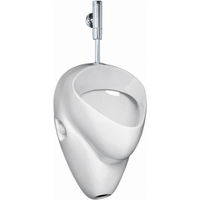 sanicomfort sanicomfort Urinal-Komplettset 'Harmony' mit Druckspüler, ohne WC-Sitz, mit Spülrand