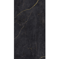 Breuer Rückwand 'Schwarz-Gold' seidenmatt 100 x 210 cm