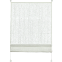 Gardinia EasyFix Raffrollo mit 2 Bedienschienen weiß 90 x 140 cm