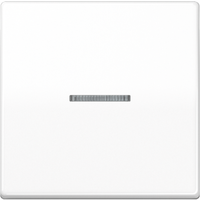 Jung Kontrollwippe AS500 alpinweiß