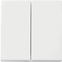 Busch-Jäger Serienwippe 'Balance SI' alpinweiß