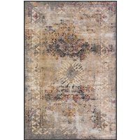 Lykaia Bohemian Distressed Chenille washable rug