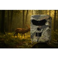 1080P Trail Wildlife Camera Kit - Full HD Motion Sensor, Wide Angle, Waterproof Options | Wowcher