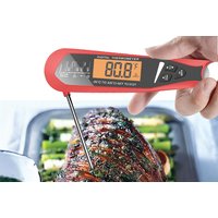 Thermometer & Food Probe