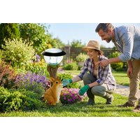 Solar LED Animal Garden Lights - Waterproof Outdoor Pathway Ornaments (Rabbit, Dog, Cat) - Solar Powered | Wowcher