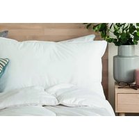 4-Pack Non-Allergenic Pillows